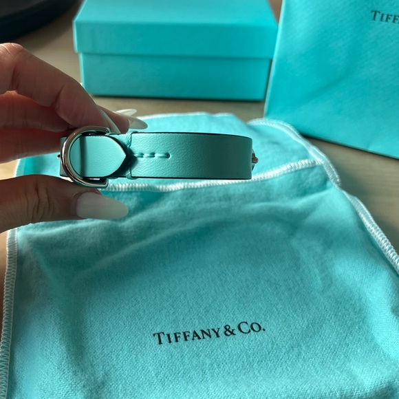 Tiffany & Co. Dog Authentic Tiffany Co Xs Tiffany Blue Leather Dog